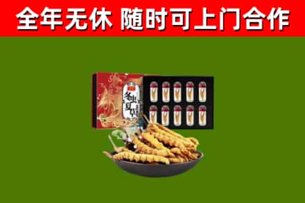 三穗回收冬虫夏草价格